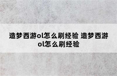 造梦西游ol怎么刷经验 造梦西游ol怎么刷经验